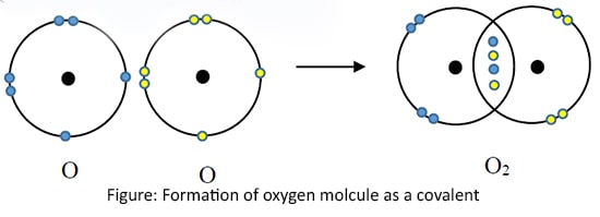 Formation of oxygen molcule as a covalent